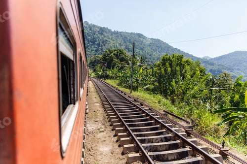 Preview: KANDY, SRI LANKA - JAN 17, 2017: green plants along railway road, view from train