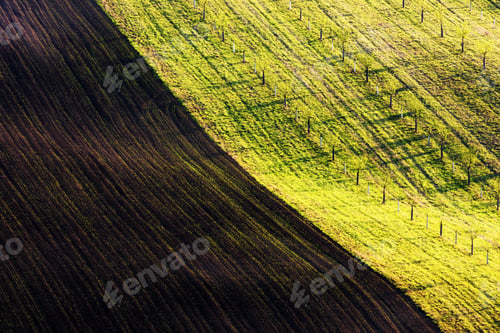 Preview: Green and brown waves of the agricultural fields
