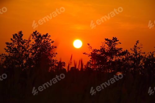 Preview: Orange colored sunset over trees