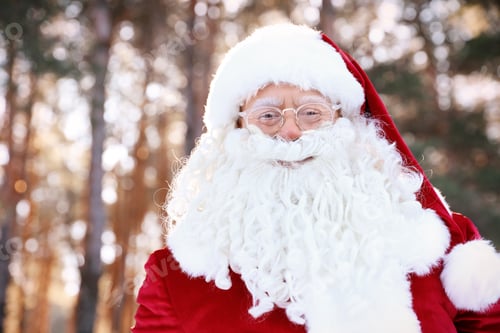 Preview: Happy Authentic Santa Claus outdoors, space for text