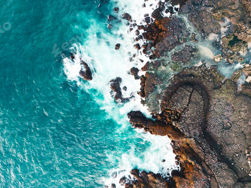 Preview: Aerail view of Atlantic puffins nesting on the shore of Iceland