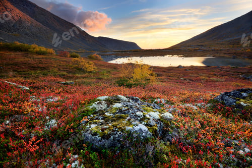 Preview: Autumn colours in Malaya Belaya River valley at dusk, Khibiny mountains, Kola Peninsula, Russia