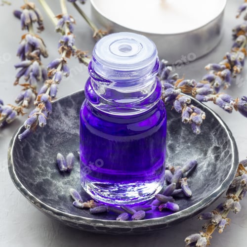 Preview: Lavender oil in glass bottle with lavender flowers on background, square