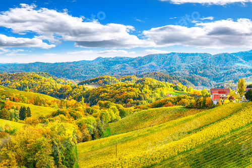 Preview: Fabulous vineyards landscape in South Styria near Gamlitz.