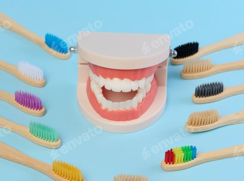 Preview: Wooden toothbrush and plastic model of dental jaw with white teeth on a blue background