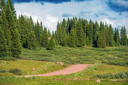 Preview: Backcountry Forest Road