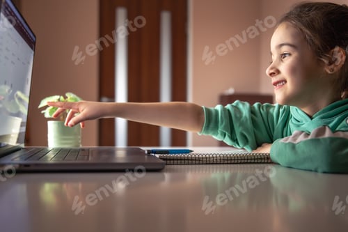 Preview: Little girl in front of laptop screen, study concept.