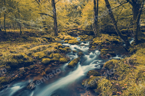 Preview: wild creek in autumn forest, toned and filtered effect