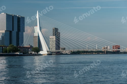 Preview: Rotterdam city cityscape skyline with Erasmus bridge and river. South Holland, Netherlands.