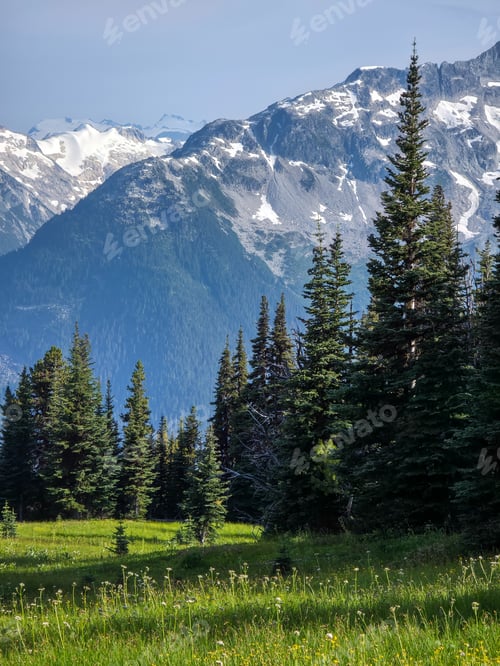 Preview: Scenic Alpine View in Whistler, BC, Canada with Trees and Mountains