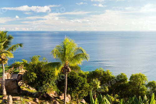 Preview: view to indian ocean from island with palm trees