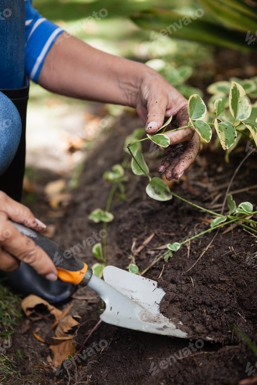 Preview: Low section of senior woman digging soil with trowel