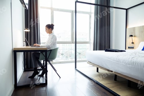 Preview: Concentrated beautiful businesswoman working with her laptop on