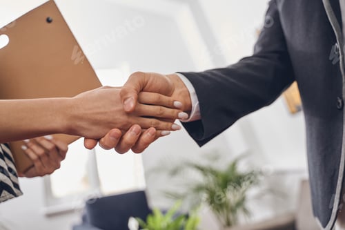 Preview: Male entrepreneur and his colleague greeting one another