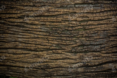 Preview: wood texture. background