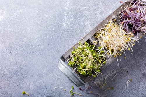 Preview: Assorted vegetable sprouts
