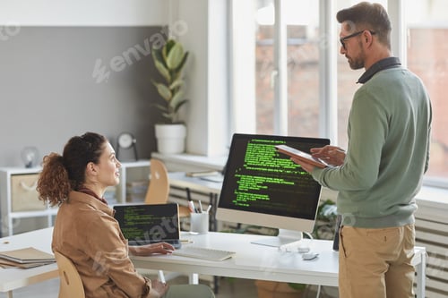 Preview: Programmers working in team