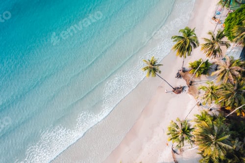 Preview: Aerial Beach and coconut trees on a calm island in the morning