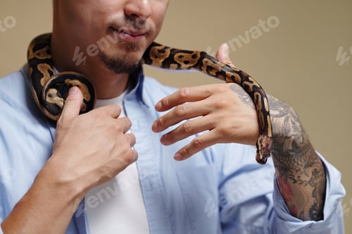 Preview: Portrait of Man Holding and Petting a Snake on His Shoulder