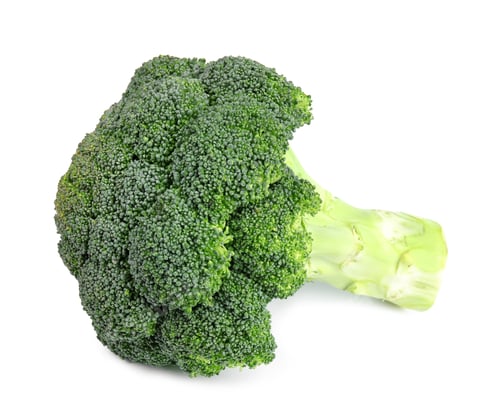 Preview: Fresh green broccoli on white background. Organic food