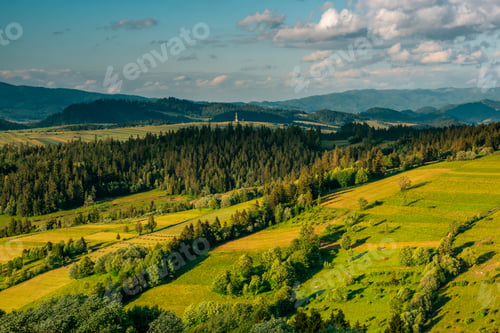 Preview: Tatra Mountains landscape, lush green meadows and trees at summer