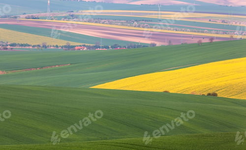 Preview: Minimalistic landscape with green fields, rolling hills at sunri