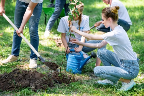 Preview: young volunteers planting new trees in park