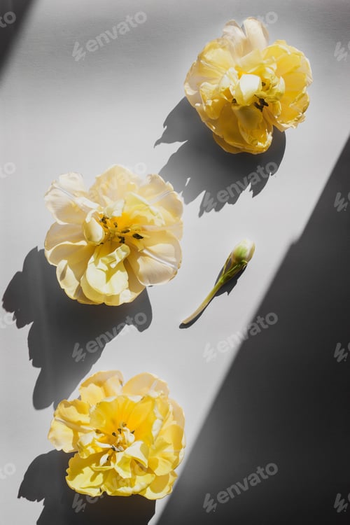 Preview: Yellow flowers on gray background.