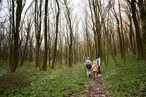 Preview: Back view of three kids holding hands with mother walking on forest trail.