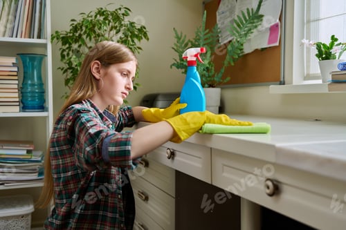 Preview: Young woman cleaning room, dusting, cleaning with spray and cloth