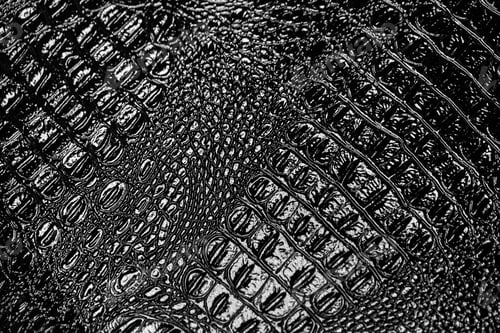 Preview: Black leather crocodile background and texture.