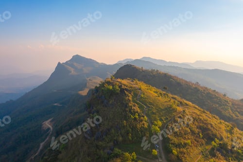 Preview: Forest trees and green mountain hills. Nature landscape background.