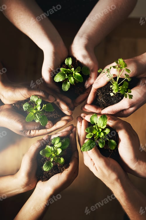 Preview: Every little bit helps. Cropped shot of a group of people holding plants growing out of soil.