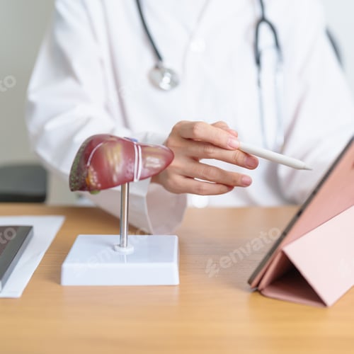 Preview: Doctor with human Liver model and tablet. Liver cancer