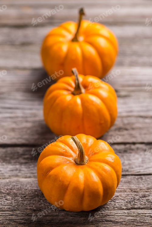 Preview: Three mini pumpkins