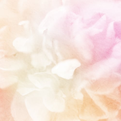 Preview: Sweet Color Roses On Mulberry Paper Texture For Background
