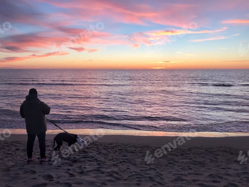 Preview: Violet landscape at the sunset in the beach