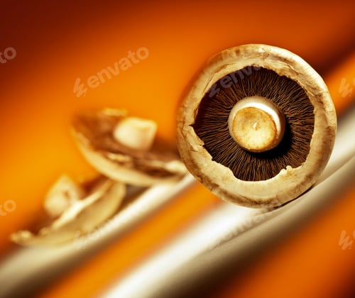 Preview: Mushrooms