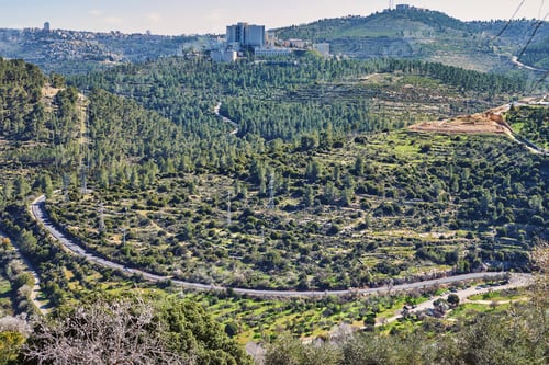 Preview: Forest of Sataf west of Jerusalem Israel. A beautiful area of hiking
