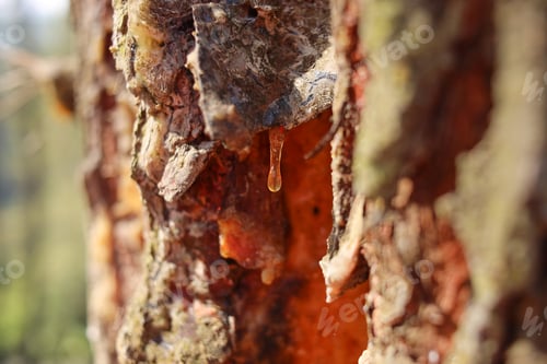 Preview: Beautiful Drop of Resin