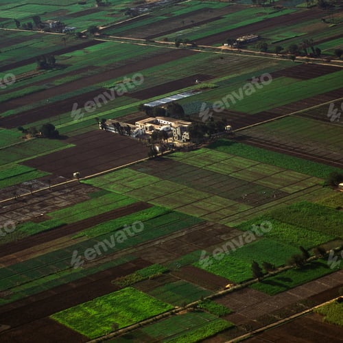 Preview: Agricultural Fields in the Nile Valley
