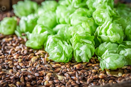 Preview: Green hops and brown malt as ingredients for beer