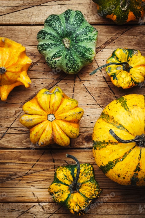 Preview: Organic farm orange, white and green pumpkins on rustic wooden kitchen table, autumn food.. Top view