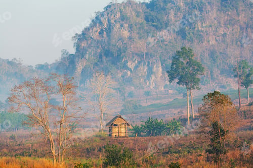 Preview: Northern Thailand