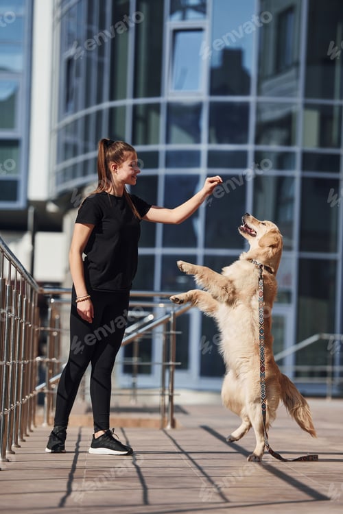 Preview: Young positive woman have fun and doing tricks with her dog when have a walk outdoors