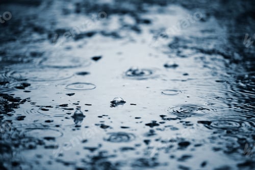 Preview: Puddle