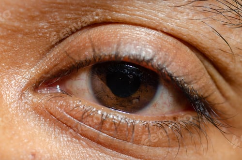 Preview: Closeup shot of a human brown eye
