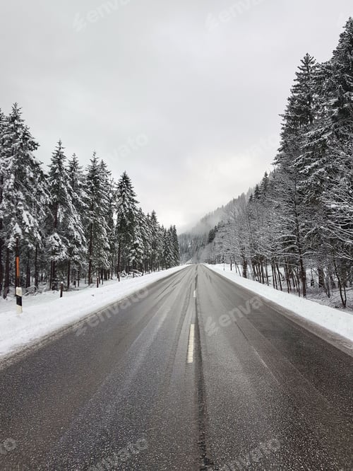 Preview: Vertical shot of an empty highway between spruces covered in snow
