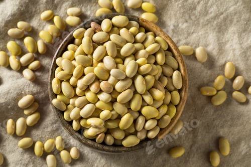Preview: Dry Organic Yellow Mayocoba Beans