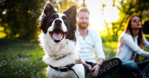 Preview: Romantic happy couple in love enjoying their time with pets